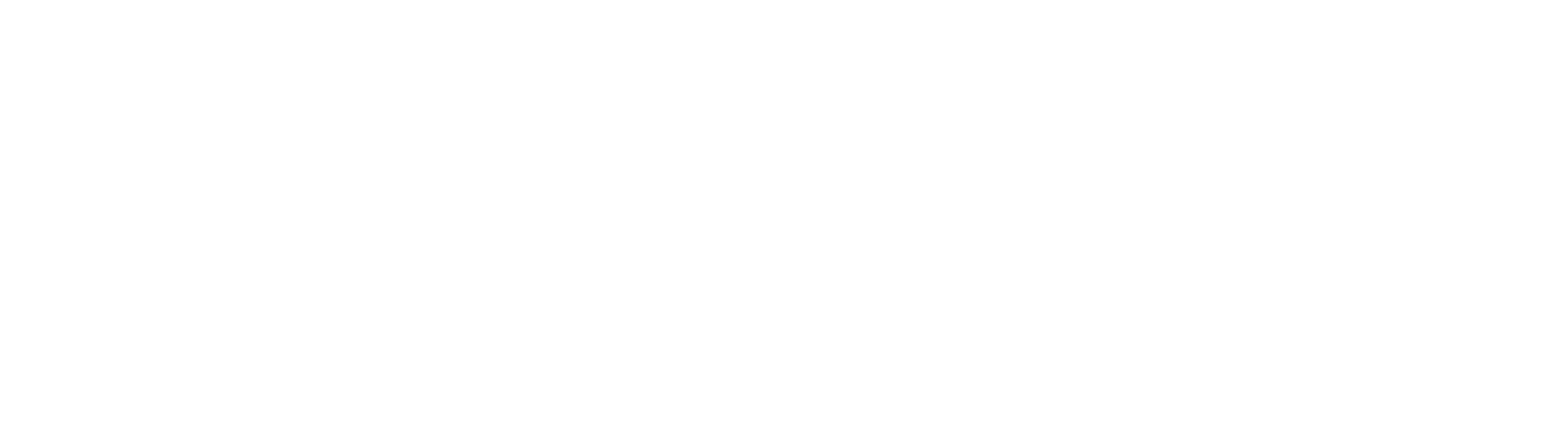 logo_qualigem_contour_blanc